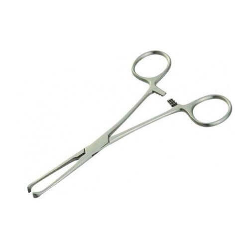 ALLIS-TISSUE-FORCEPS-8-INCH-FOR-MEDICAL-PROFESSIONALS Tissue Forceps