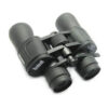 Binocular Telescope